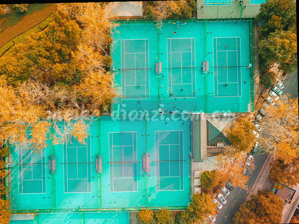 三组比例不同的几何色块由细线连接，示意内容运营、产品研发与客服支持的人员配比